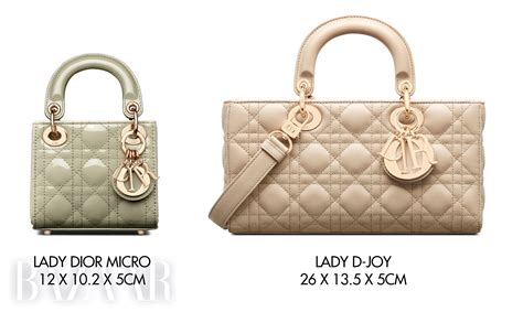 lady dior joy micro